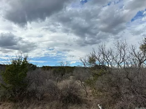 0 Cr 311, Junction, TX 76849