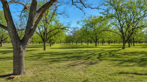 429 Johnny Seibert Ln, Leakey, TX 78873