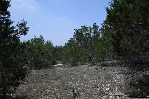 135 Agarita, Spring Branch, TX 78070