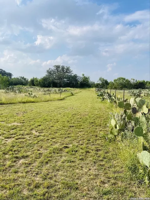 869 873 County Road 773, Devine, TX 78016 photo 40