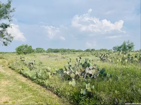 869 873 County Road 773, Devine, TX 78016 photo 34