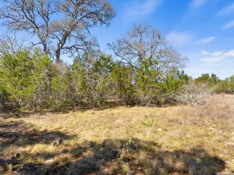 535 Left Fork Pl, Spring Branch, TX 78070