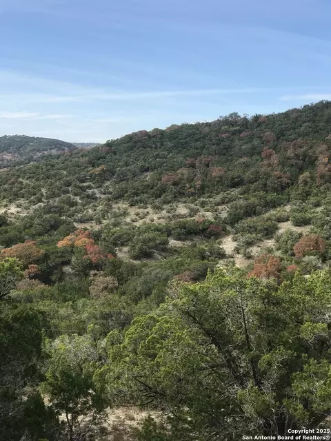 424 Sierra Vis, Tarpley, TX 78883