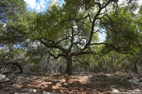 330 Rayner Rnch, Spring Branch, TX 78070