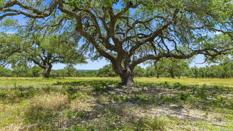 tbd Tr2 Lindeman Ln, Blanco, TX 78606 photo 16
