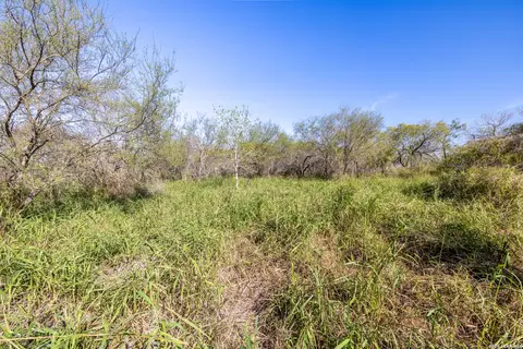 Other - 0 Fm 666 At County Road 1168, Mathis, TX 78368 photo 3 of 8