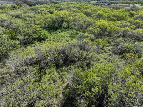 View/Area - 0 Fm 666 At County Road 1168, Mathis, TX 78368 photo 6 of 6