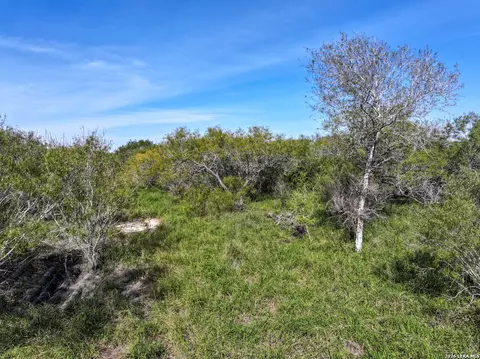 Other - 0 Fm 666 At County Road 1168, Mathis, TX 78368 photo 8 of 8