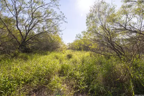 Other - 0 Fm 666 At County Road 1168, Mathis, TX 78368 photo 2 of 8