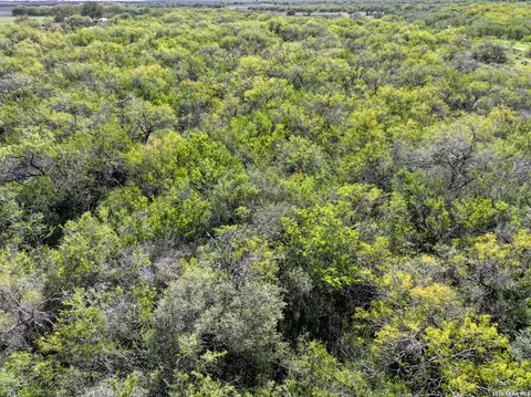 Other - 0 Fm 666 At County Road 1168, Mathis, TX 78368 photo 6 of 8