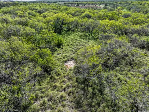 Other - 0 Fm 666 At County Road 1168, Mathis, TX 78368 photo 7 of 8