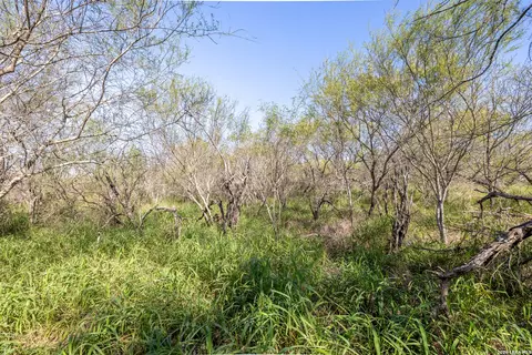Other - 0 Fm 666 At County Road 1168, Mathis, TX 78368 photo 4 of 8