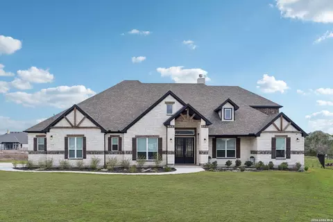 1138 Cape May Warbler, New Braunfels, TX 78132