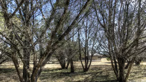 Exterior - 22 Squirrel Bnd, Uvalde, TX 78801 photo 10 of 20