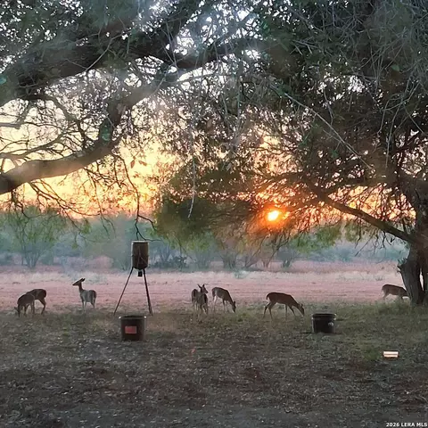 Other - 202 Ranch Rd, Mathis, TX 78368 photo 7 of 13