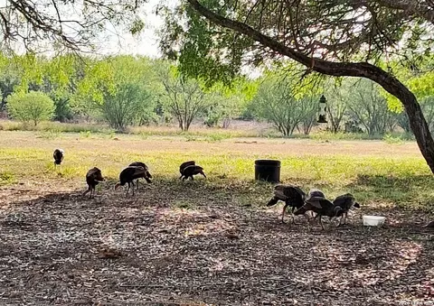 Other - 202 Ranch Rd, Mathis, TX 78368 photo 8 of 13