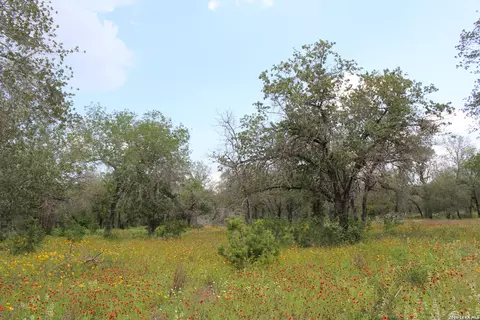 24222 Mathis, Elmendorf, TX 78112