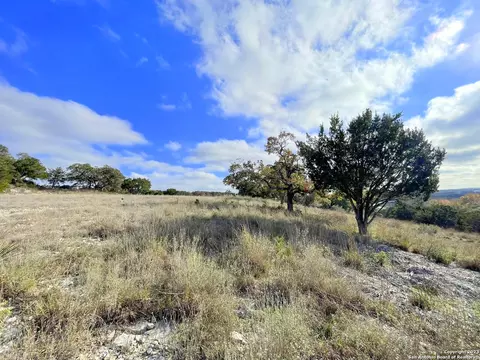 150 Riddle, Spring Branch, TX 78070 photo 11