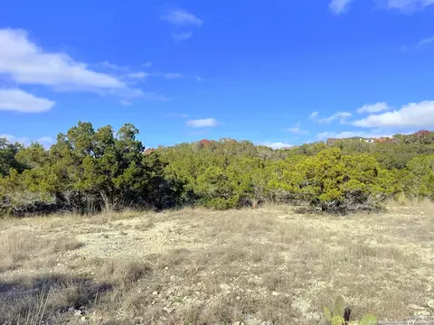 150 Riddle, Spring Branch, TX 78070 photo 10
