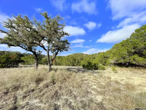 150 Riddle, Spring Branch, TX 78070 photo 13
