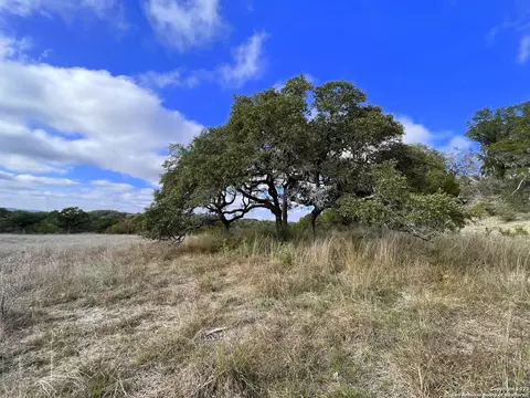 150 Riddle, Spring Branch, TX 78070 photo 20