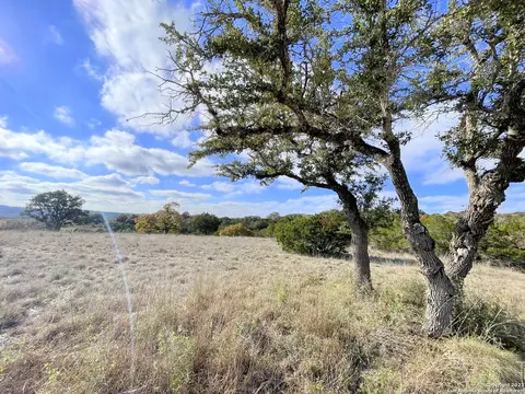 150 Riddle, Spring Branch, TX 78070 photo 3