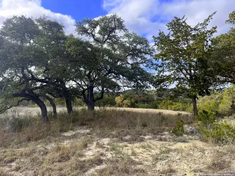 150 Riddle, Spring Branch, TX 78070 photo 18