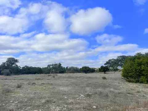 150 Riddle, Spring Branch, TX 78070 photo 22