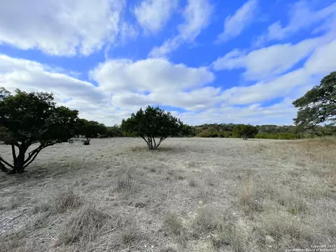 150 Riddle, Spring Branch, TX 78070 photo 21