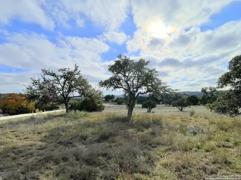 150 Riddle, Spring Branch, TX 78070 photo 19