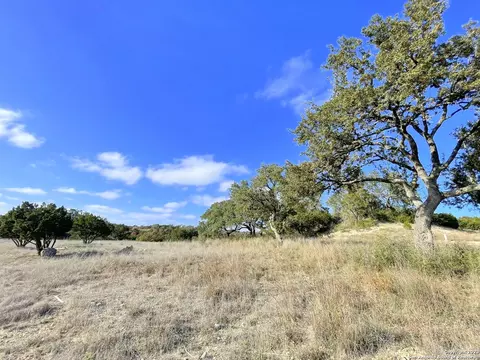 150 Riddle, Spring Branch, TX 78070 photo 7