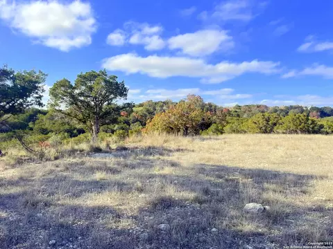 150 Riddle, Spring Branch, TX 78070 photo 8