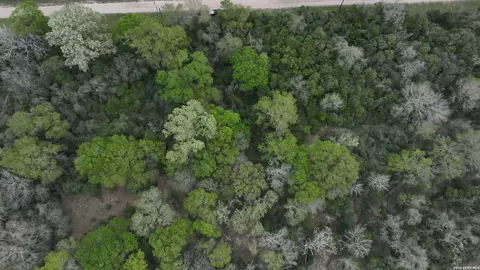 25 St, Hempstead, TX 77445 photo 5