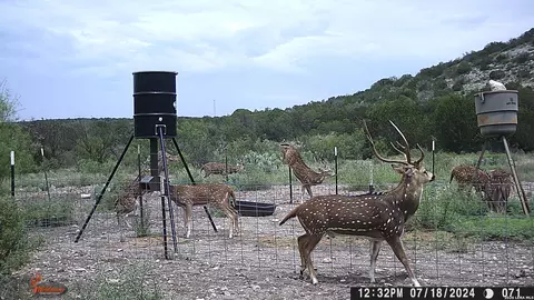 lot2 Dusty Rose Rnch E, Rocksprings, TX 78880