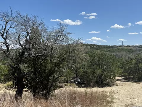 100 Manana, Blanco, TX 78606