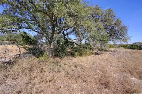 425 George Dolson, Blanco, TX 78606 photo 25