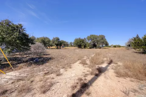 425 George Dolson, Blanco, TX 78606 photo 13