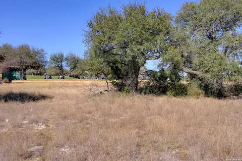 425 George Dolson, Blanco, TX 78606 photo 23