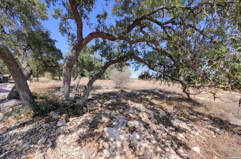 425 George Dolson, Blanco, TX 78606 photo 21