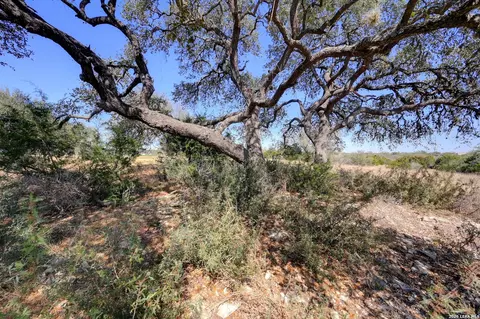 425 George Dolson, Blanco, TX 78606 photo 27