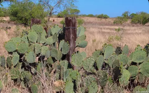 Other - 435 County Road 7715, Devine, TX 78016 photo 4 of 12