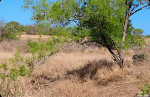 Other - 435 County Road 7715, Devine, TX 78016 photo 9 of 12