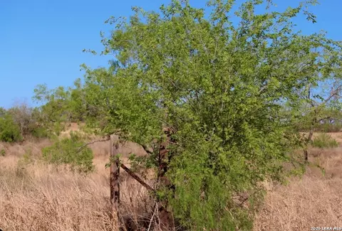 Other - 435 County Road 7715, Devine, TX 78016 photo 5 of 12