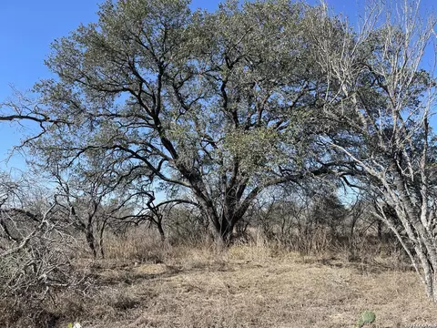 Tract #8 12.31a County Road 777, Devine, TX 78016