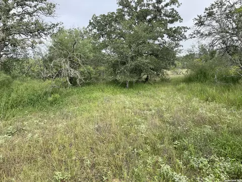 Tract #8 12.31a County Road 777, Devine, TX 78016