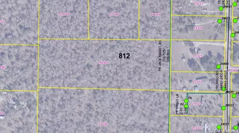 tbd Trumbo Rd, Pleasanton, TX 78065