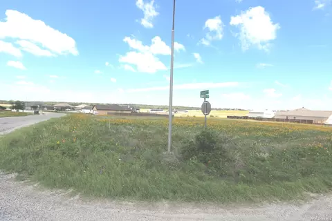 115 Las Palomas Dr, La Vernia, TX 78121