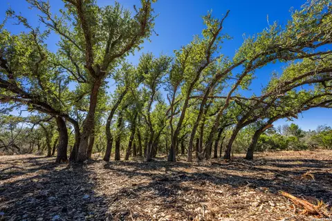 0000 Keese Rd, Fredericksburg, TX 78624