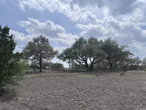 318 Serenity Pass, Spring Branch, TX 78070