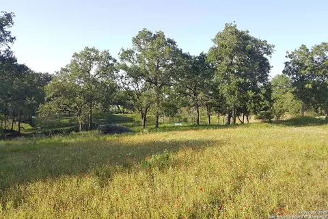173 Woodlands Dr, La Vernia, TX 78121